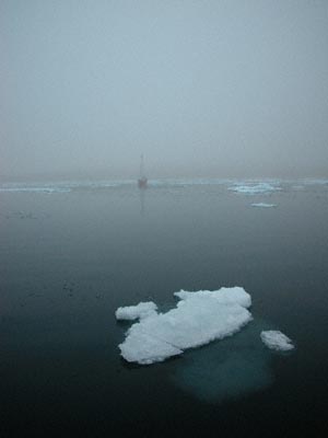 Vagabond in the mist